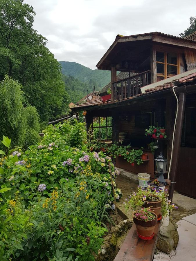 Pensiunea Mioritica سيبيل المظهر الخارجي الصورة